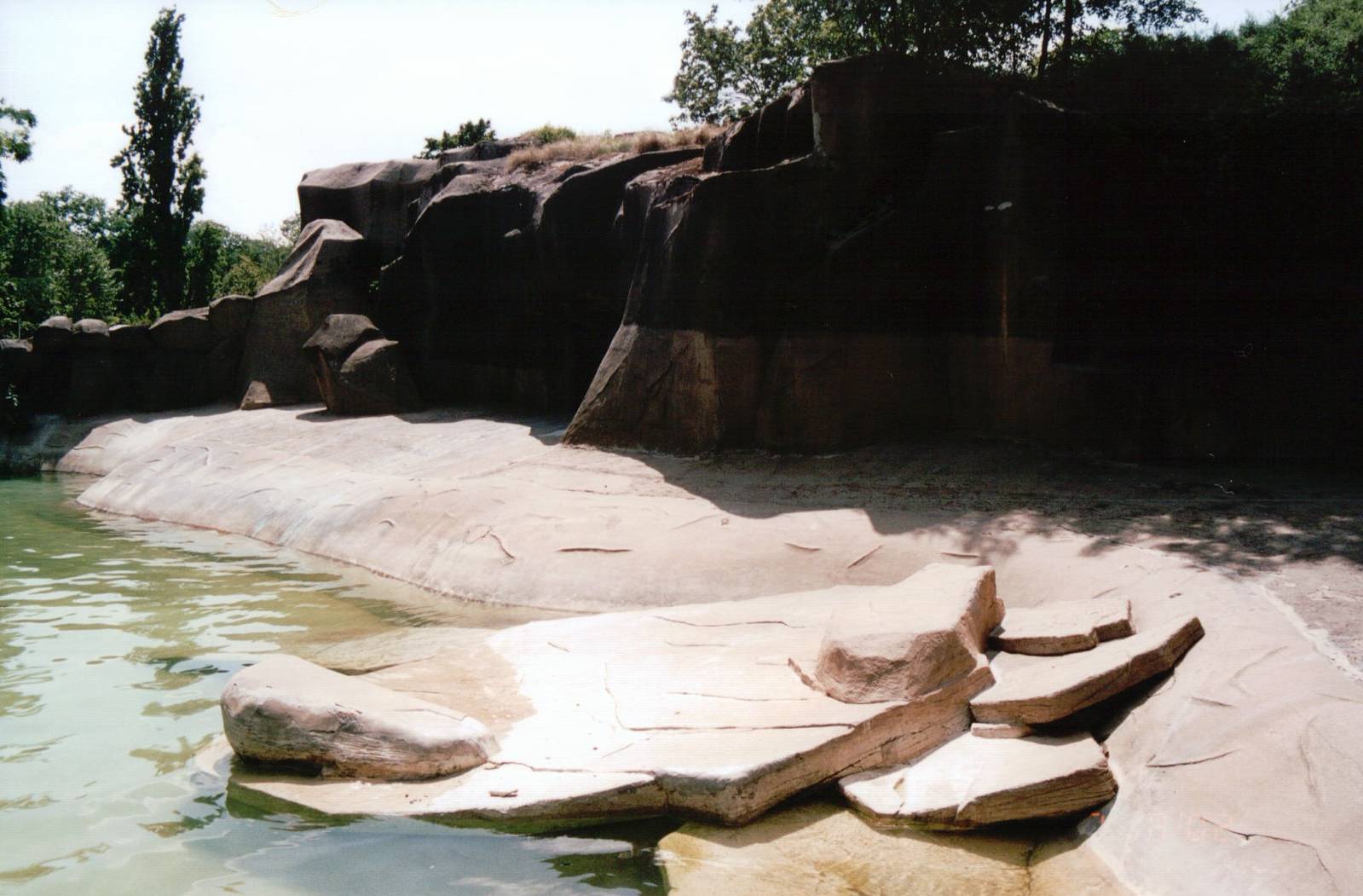 Zoo de Vincennes 2002 - Part of the South American Sea Lion exhibit