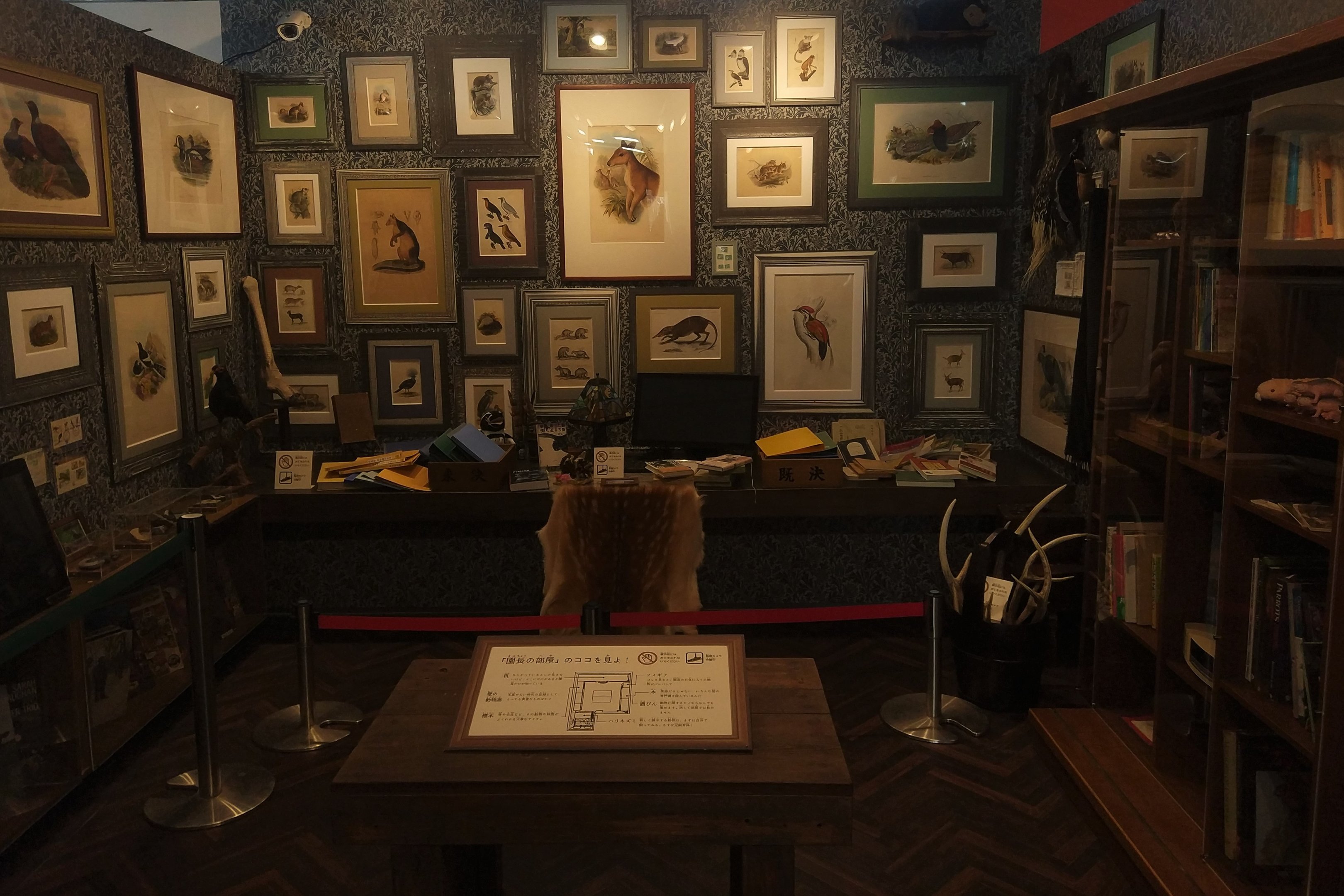 'Zoo Director's Room'