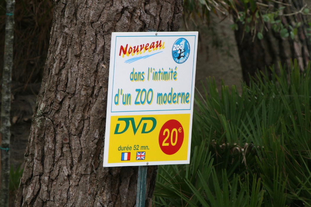Zoo DVD Advert