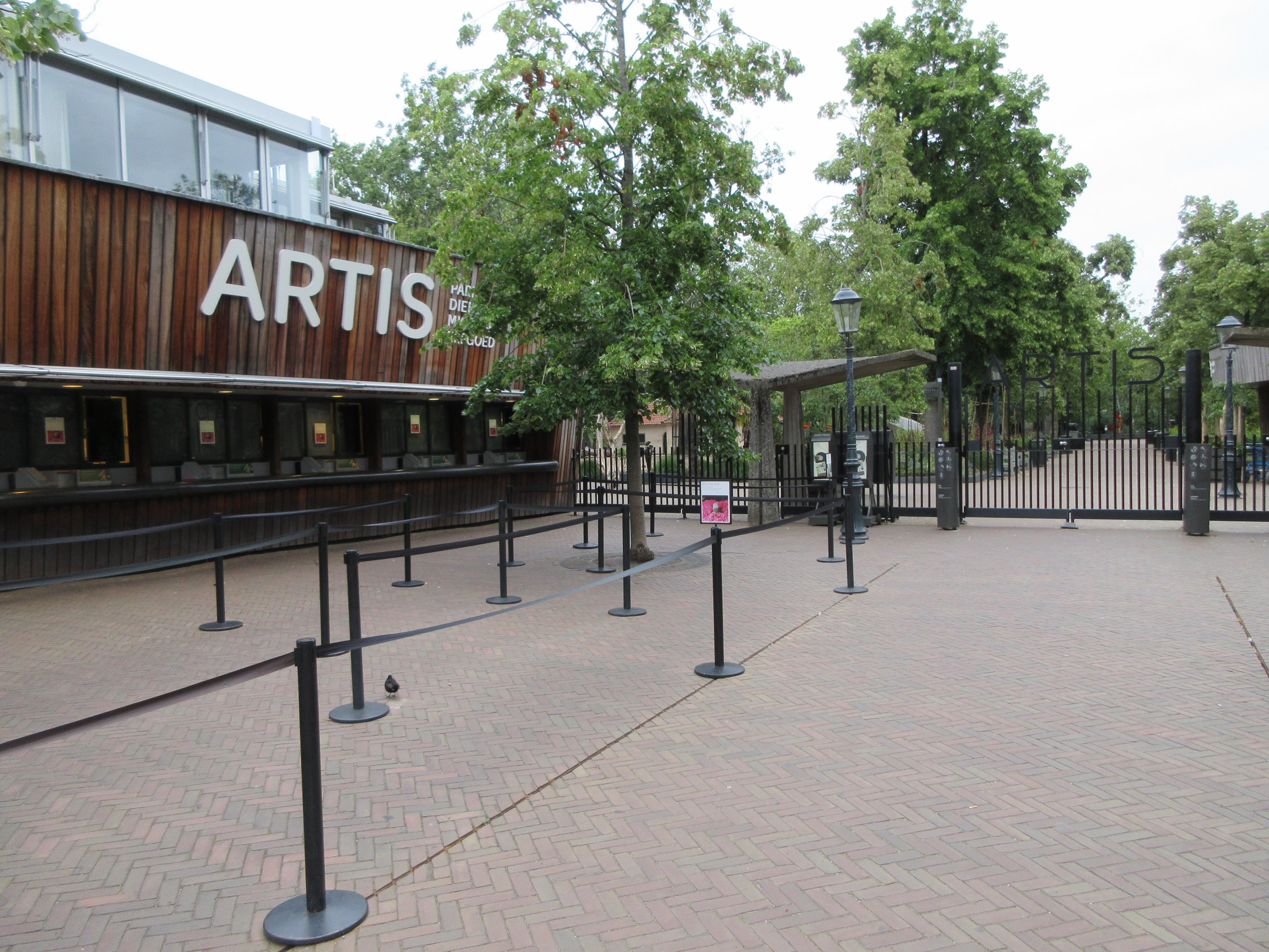 Zoo Entrance at 6:30 a.m.