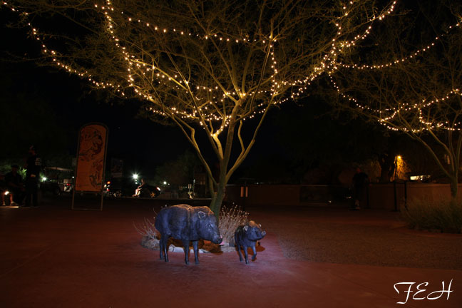 zoo entrance at night