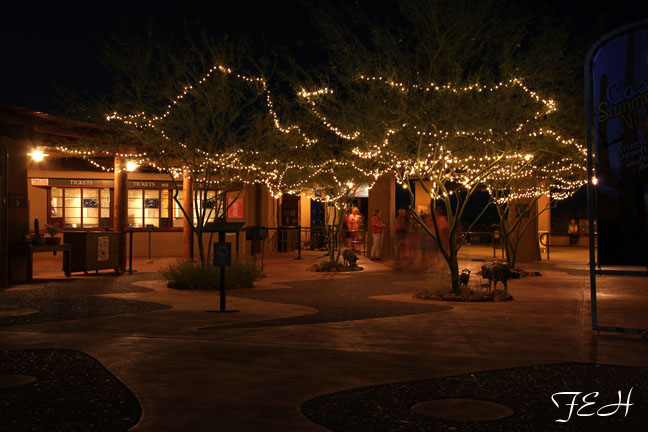 zoo entrance at night
