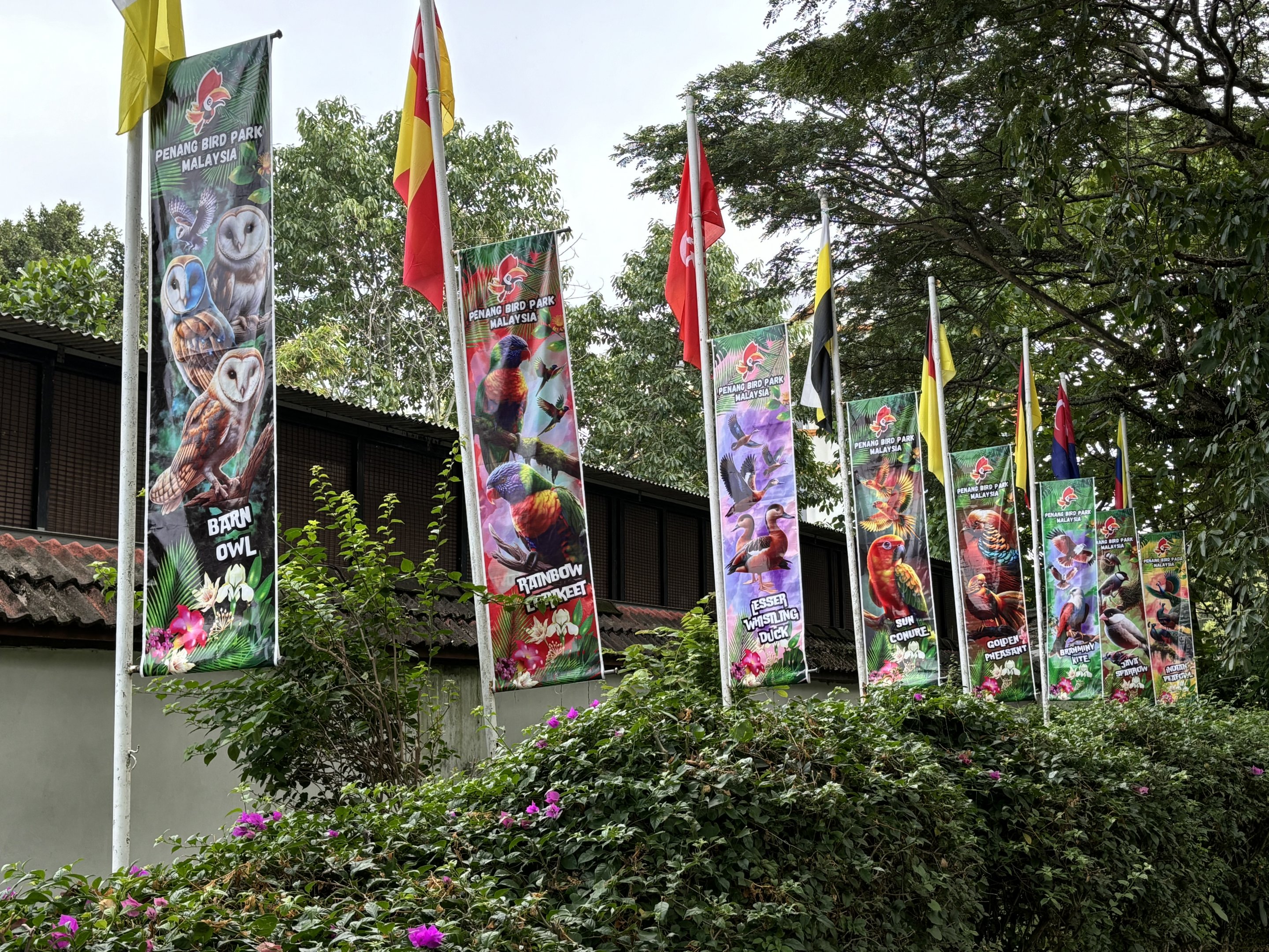 Zoo Entrance Banners