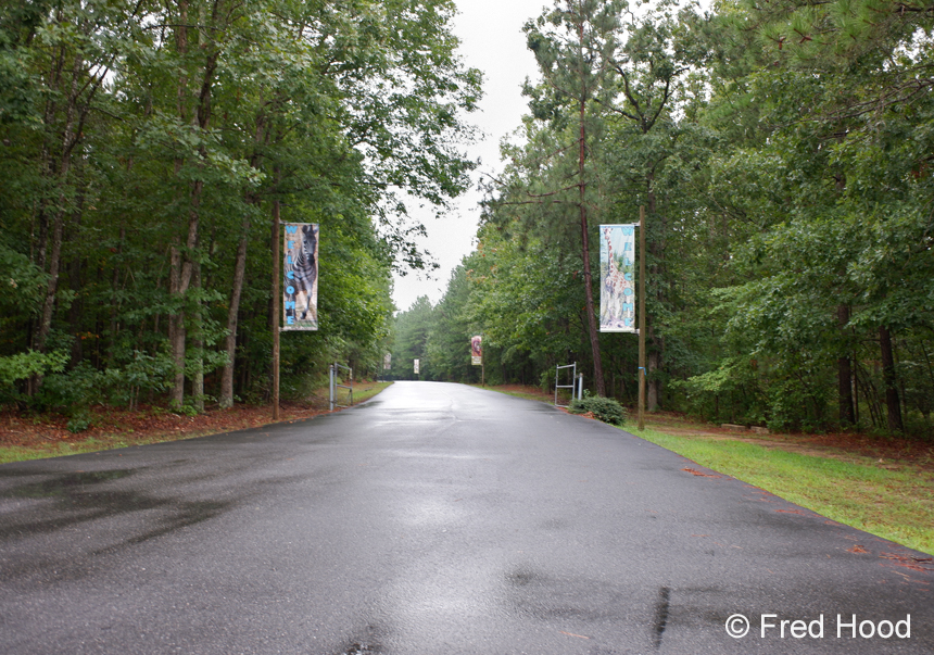 zoo entrance driveway