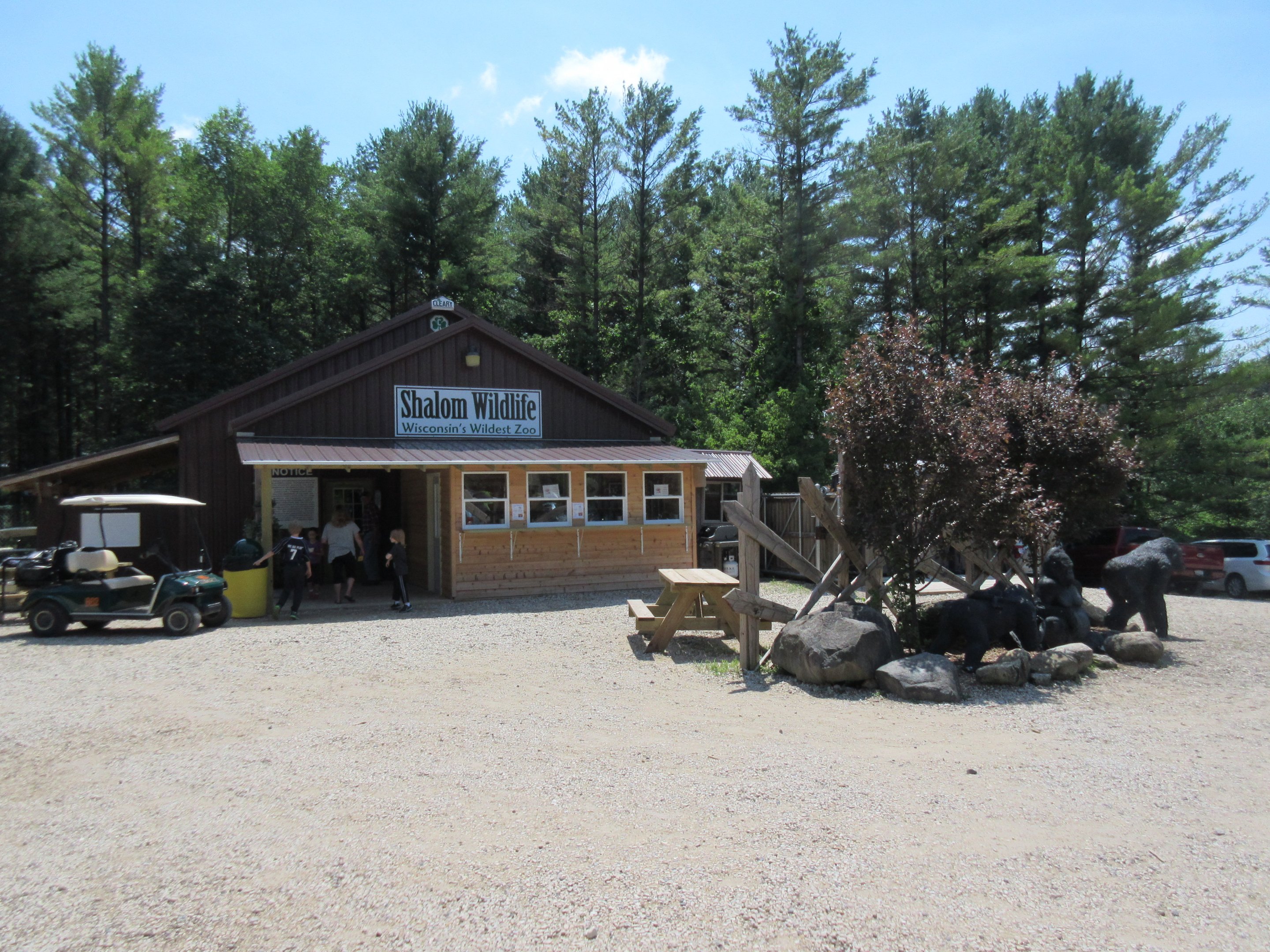 Zoo Entrance + Gorilla Statues