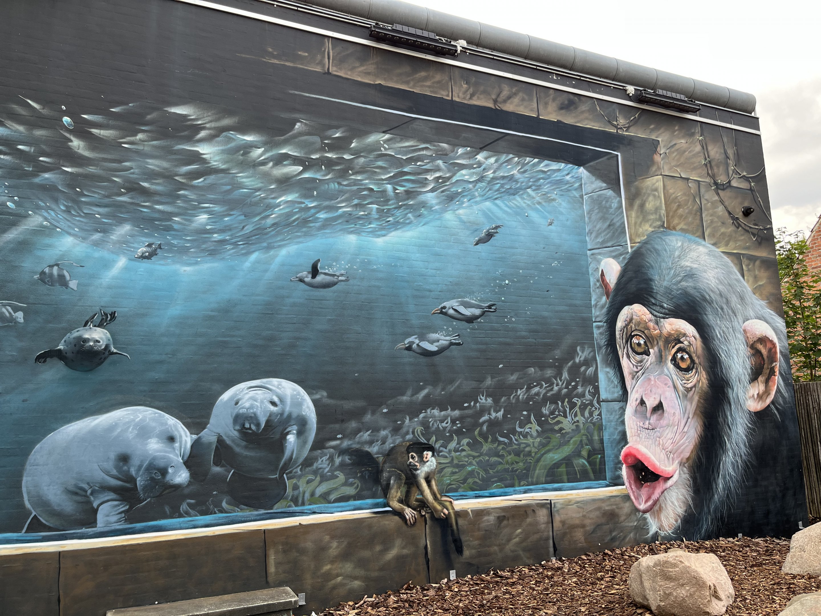 Zoo Entrance Mural