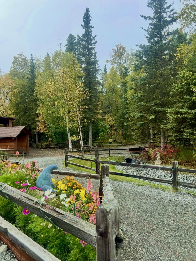 Zoo Entrance Plaza in Autumn