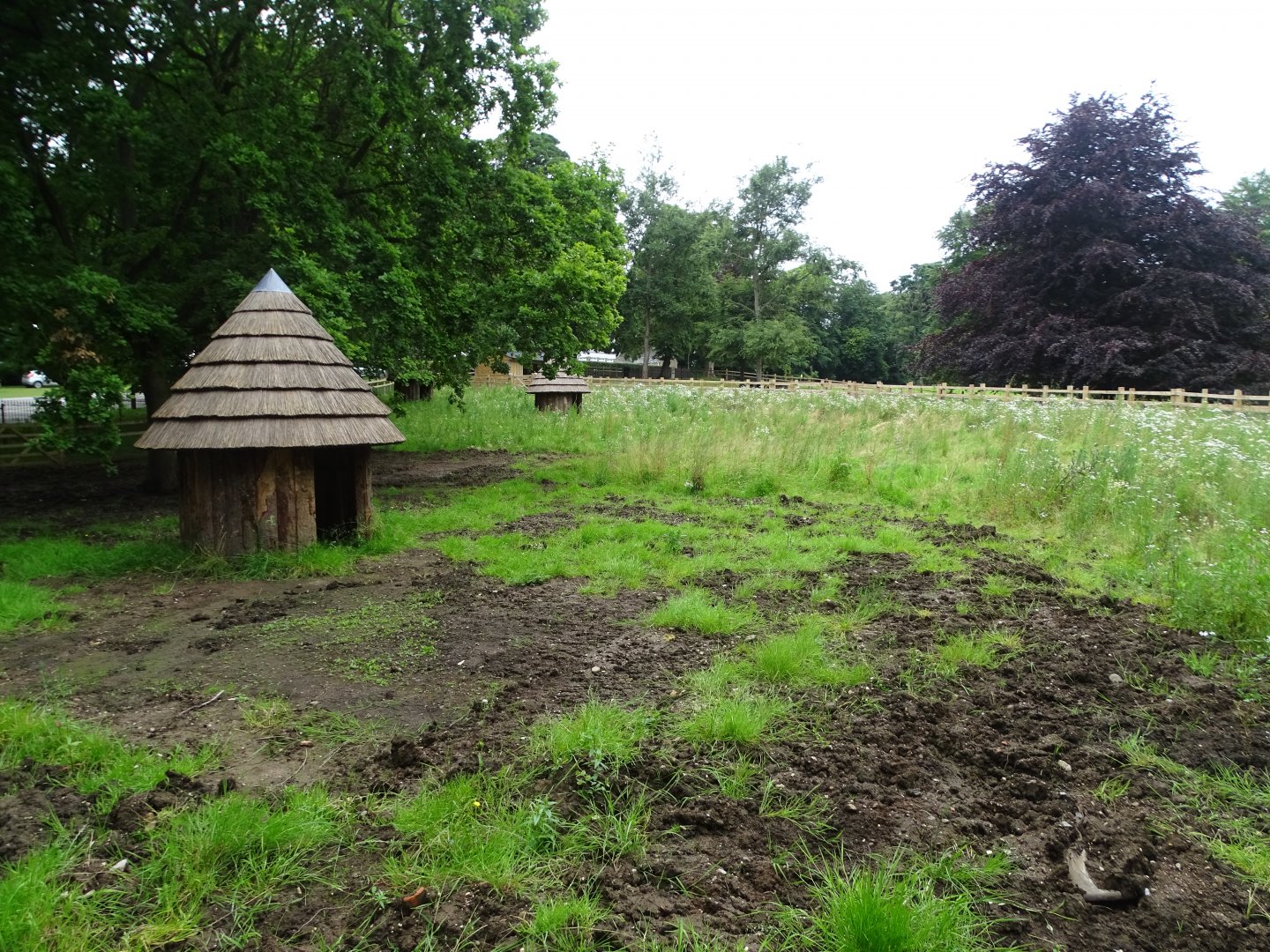 Zoo extension paddock awaiting further work, 16th July 2024