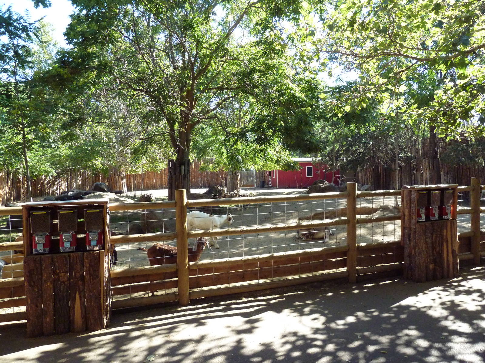 Zoo Farm - Goat Exhibit