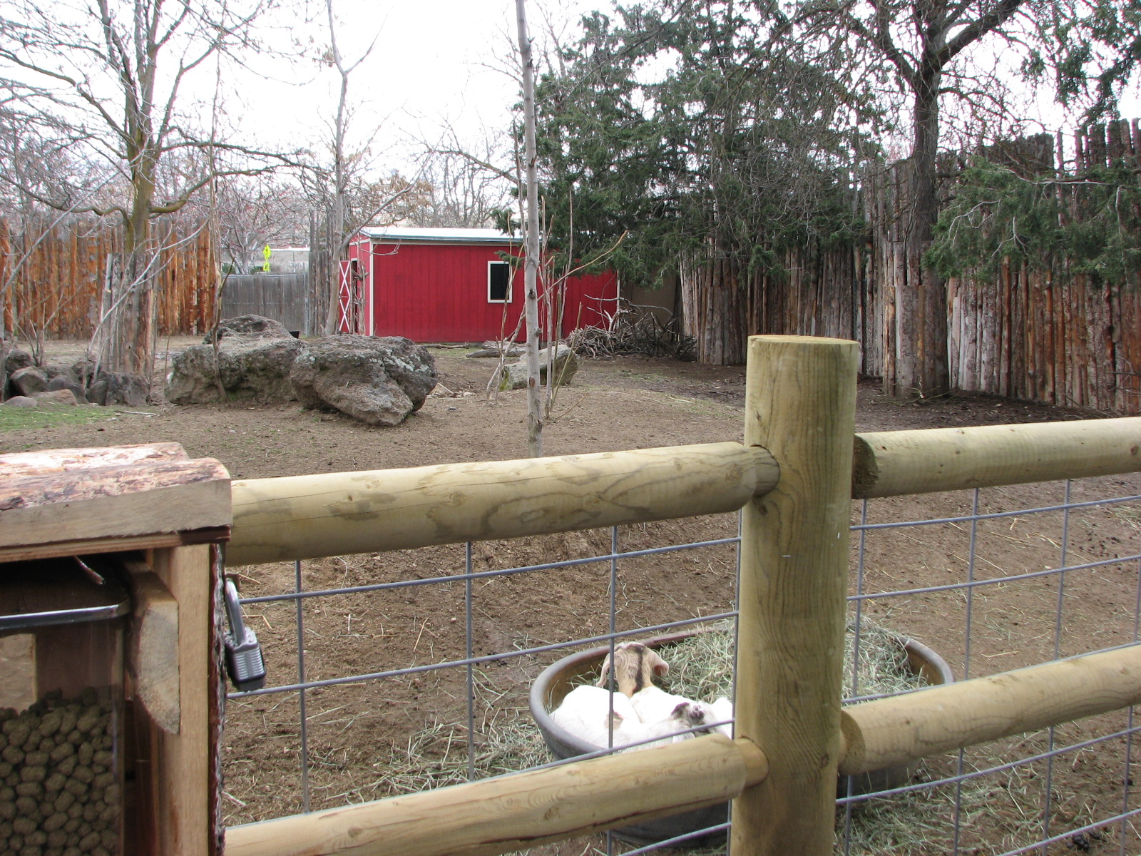 Zoo Farm