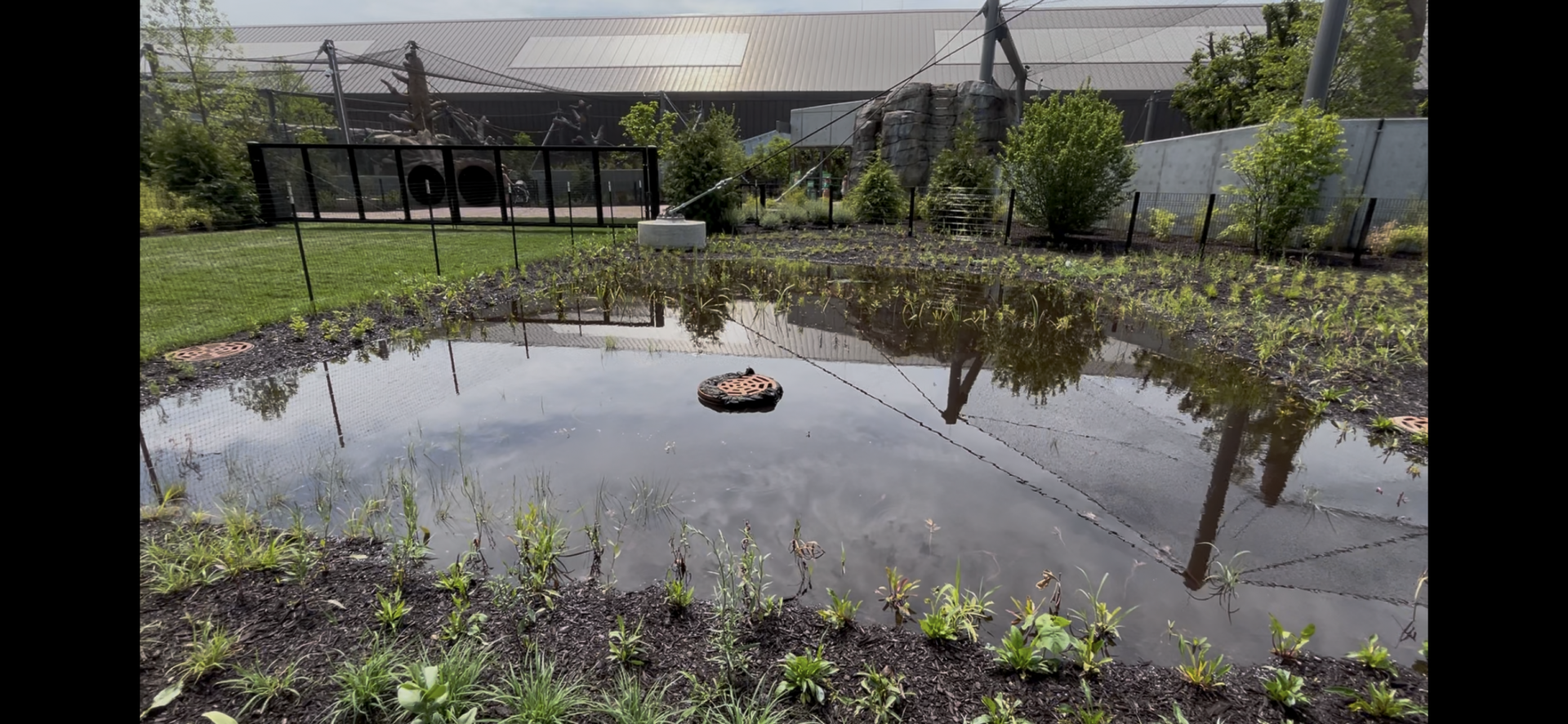 Zoo Flooding outside Tropical Forests