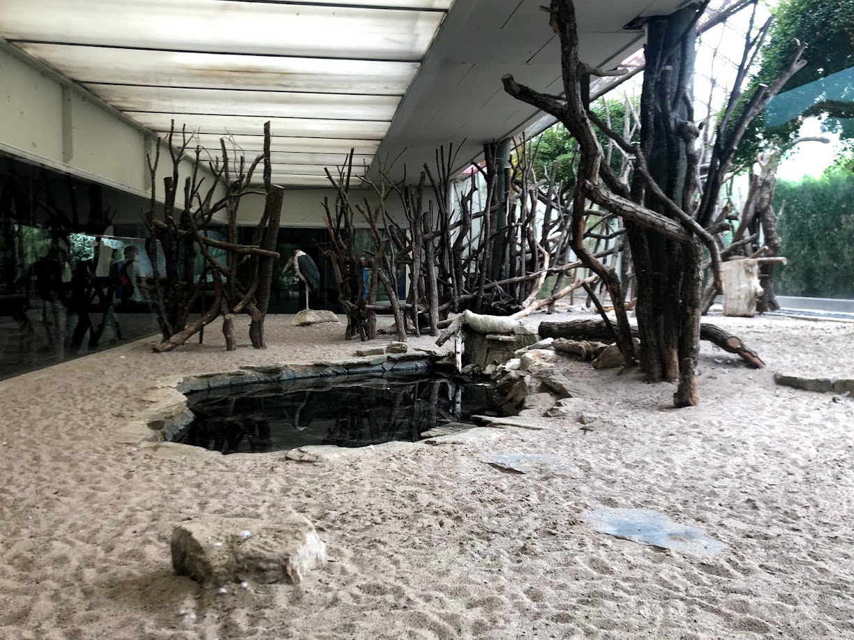 Zoo Frankfurt- marabou indoor enclosure- 2021