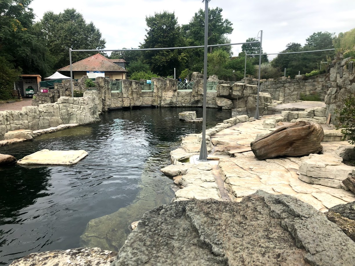 Zoo Frankfurt- South American fur seal enclosure- 2021