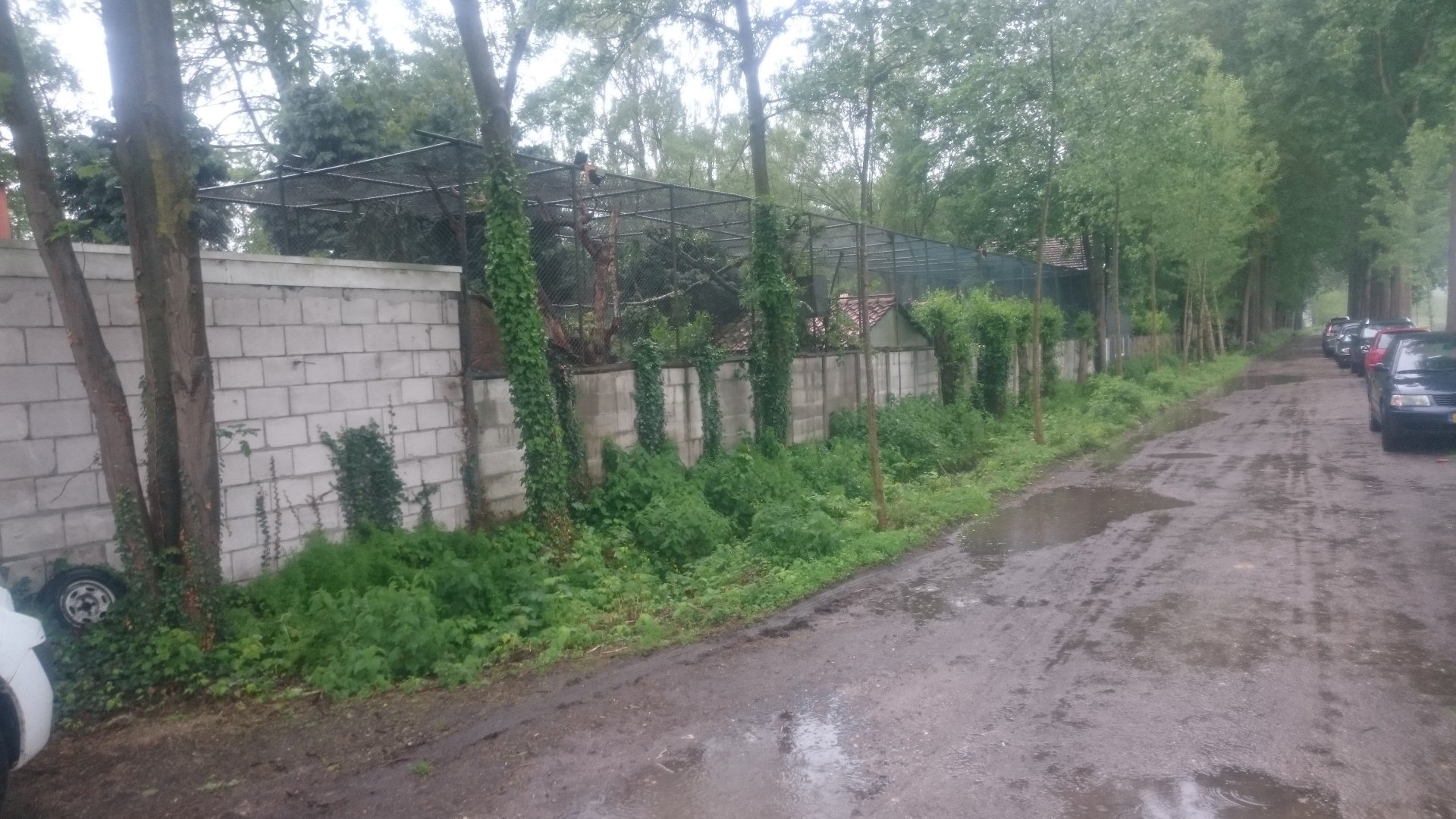 Zoo from the out-side