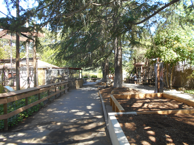 Zoo grounds