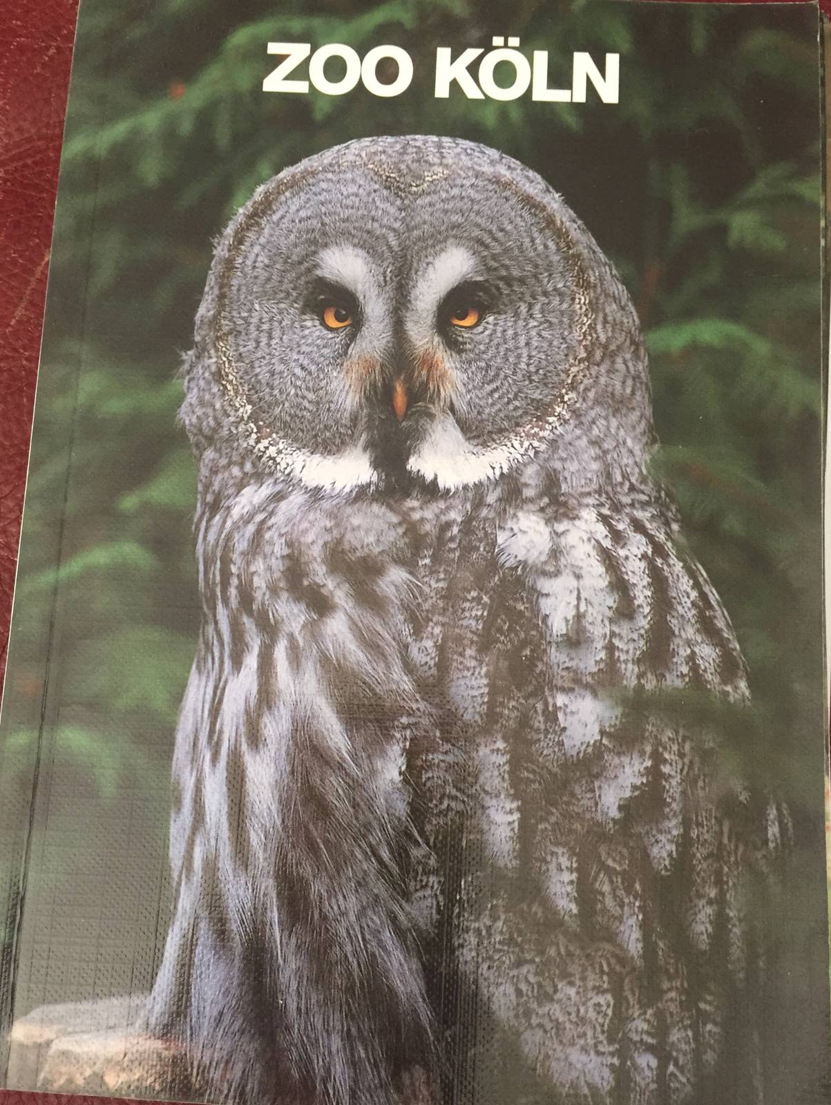 Zoo Guide circa 2001