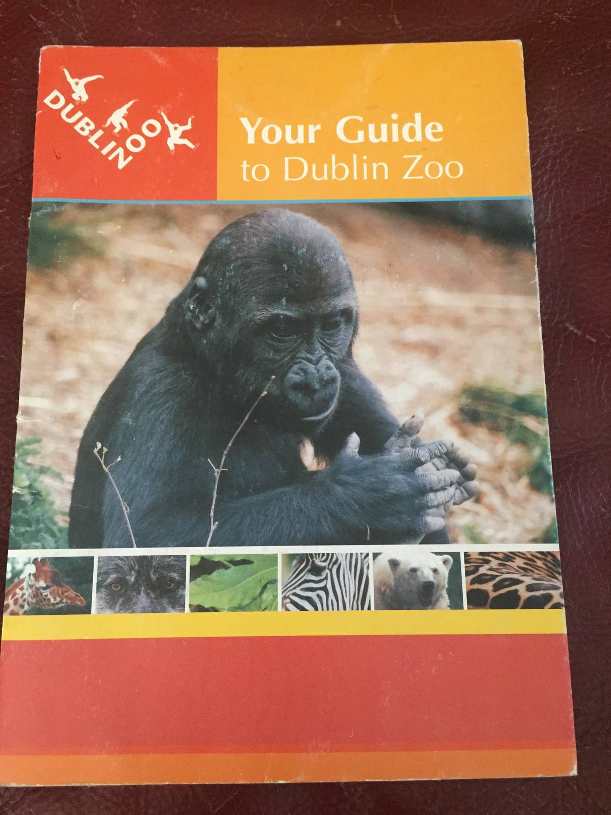 Zoo Guide Cover from 2001