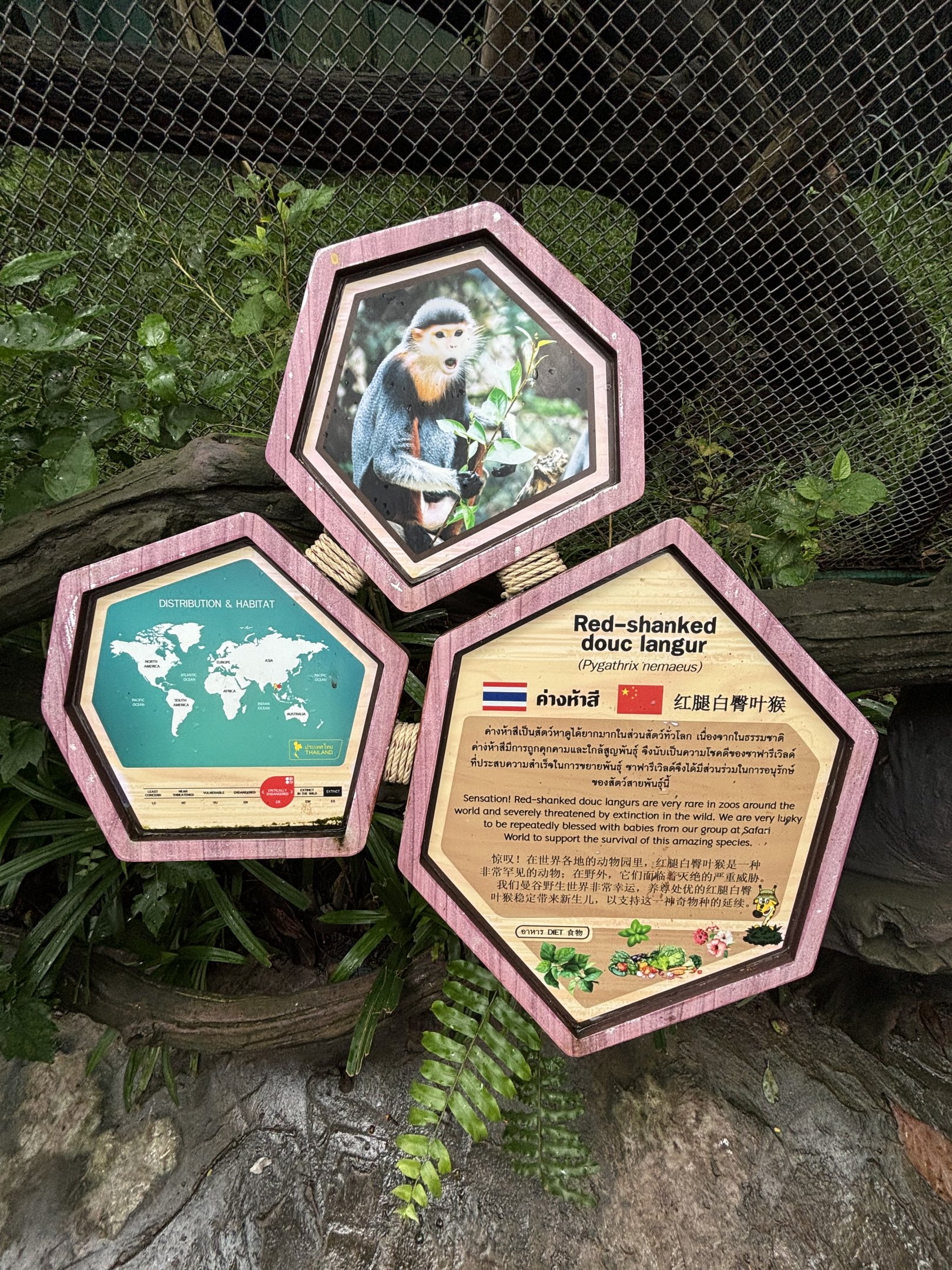 Zoo has amazing signs