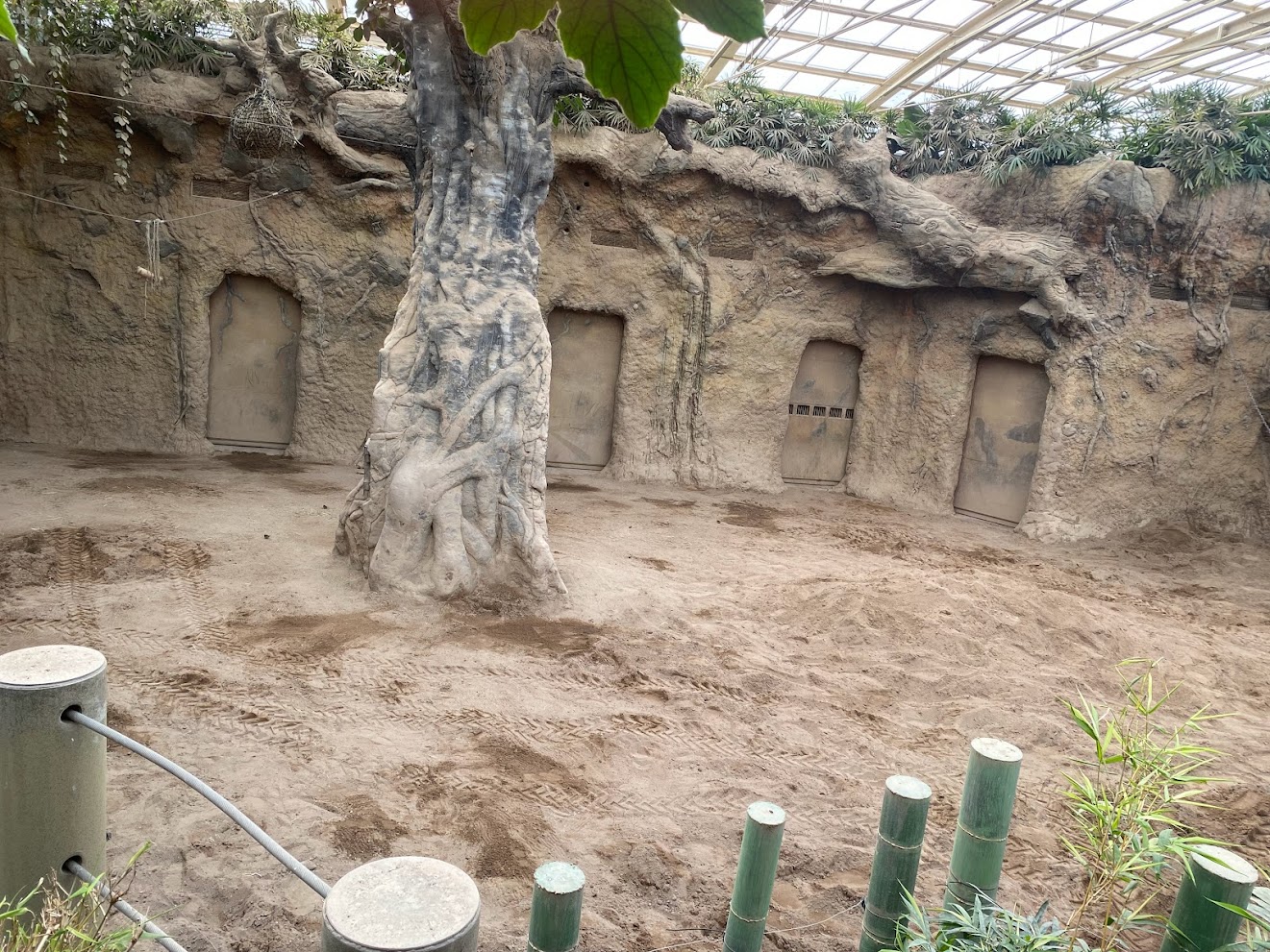 Zoo Heidelberg- elephant hall- 2023