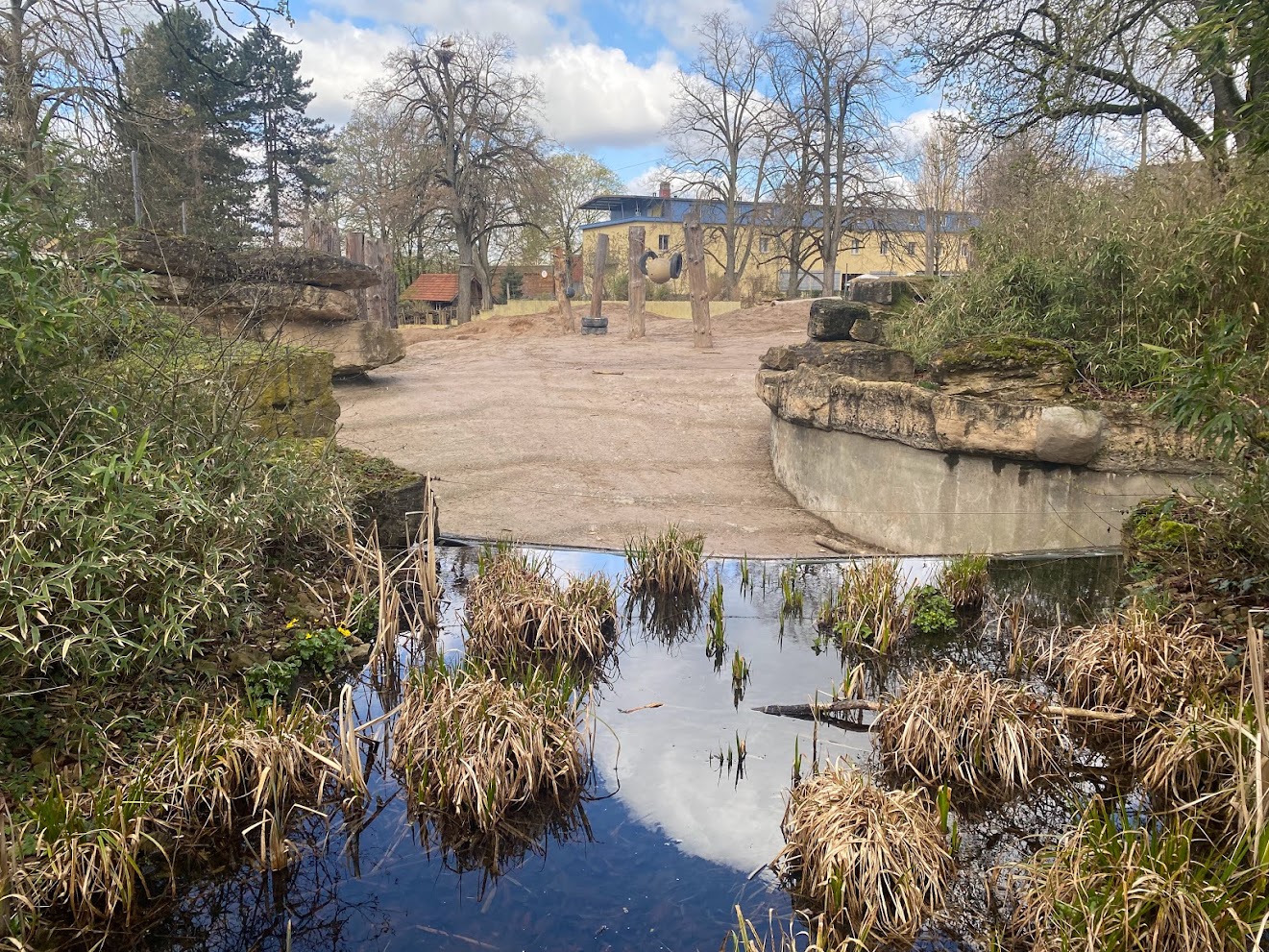 Zoo Heidelberg- elephant outdoor enclosure- 2023