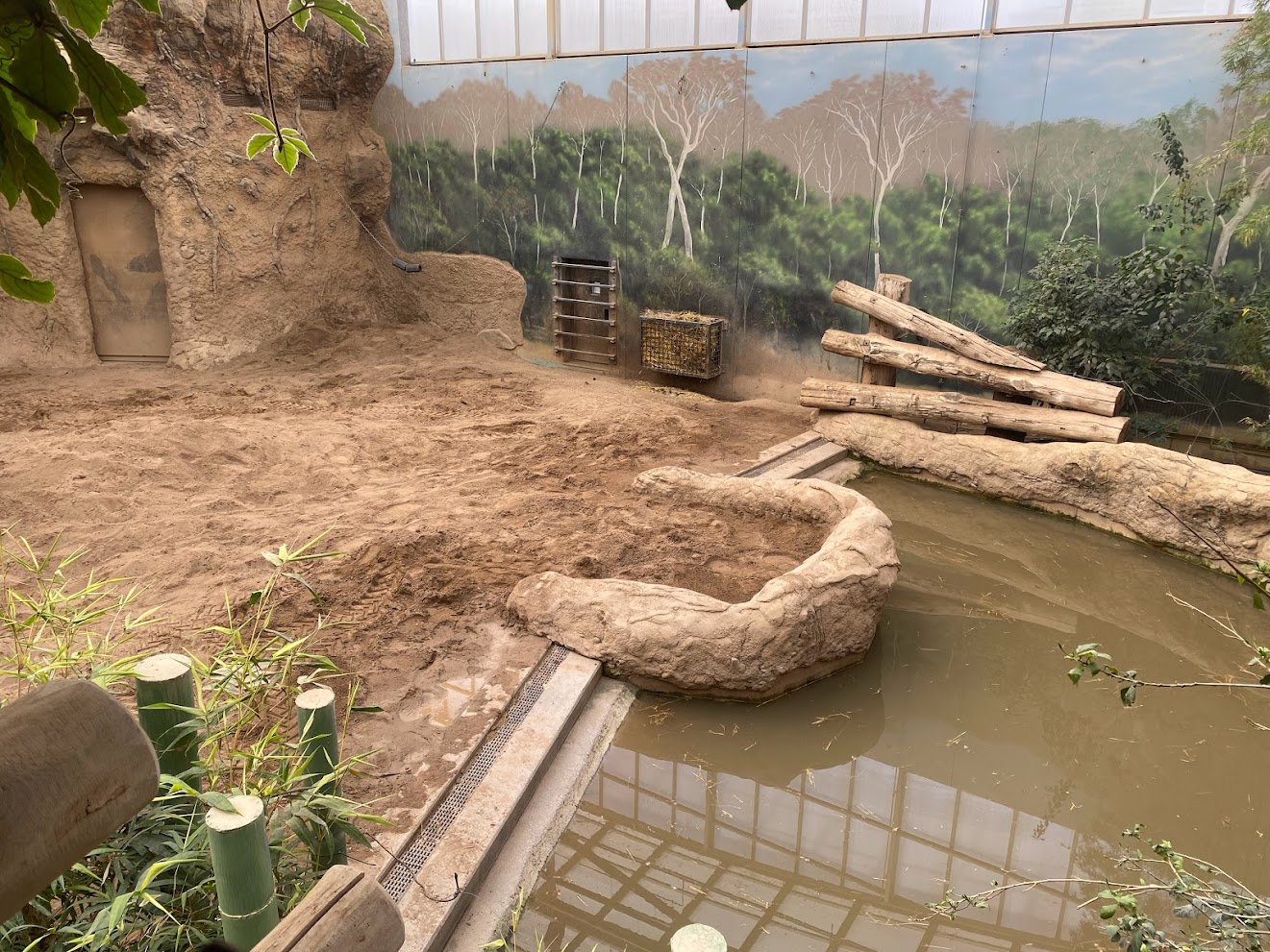 Zoo Heidelberg- elephant pool- 2023