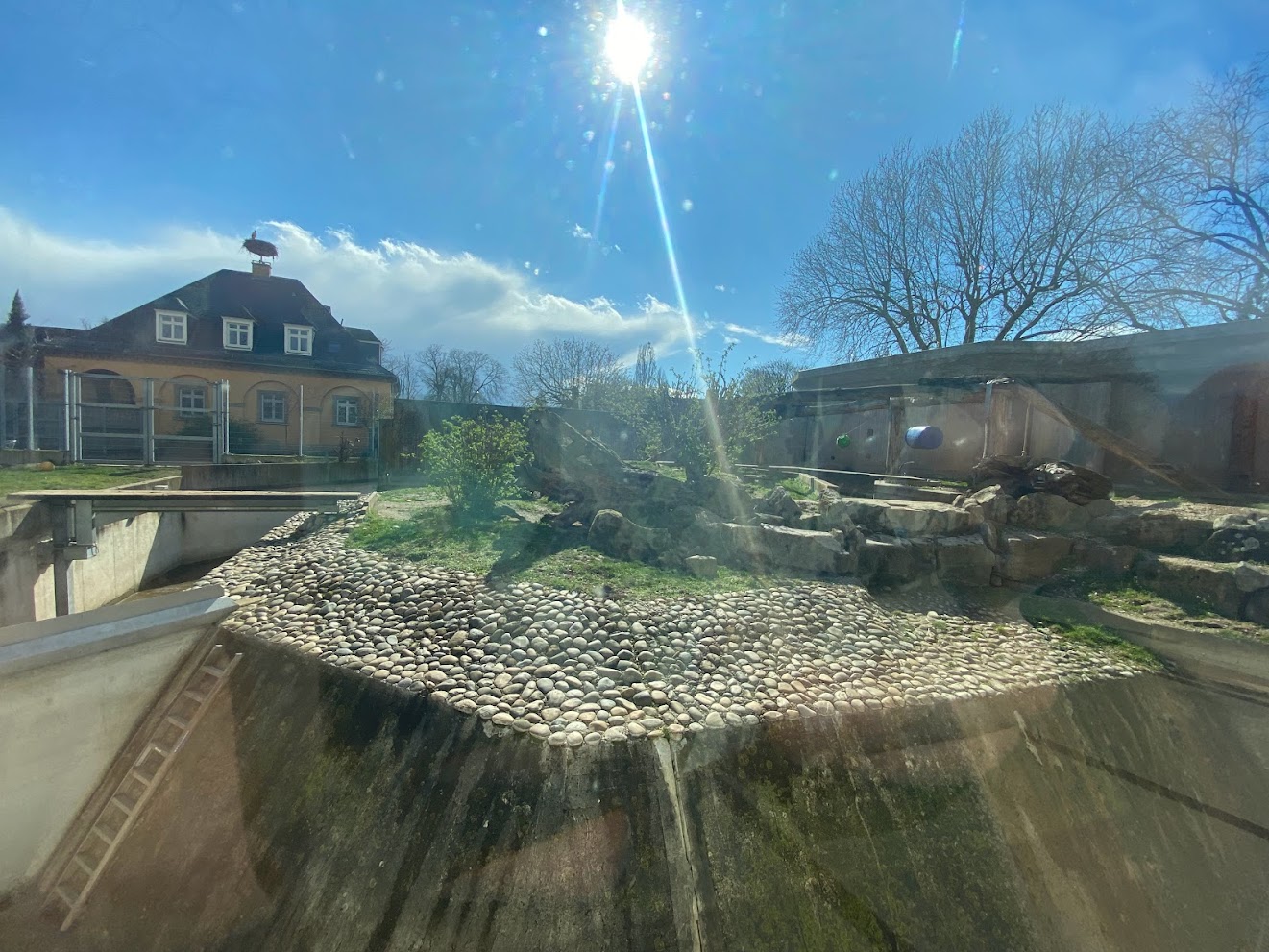 Zoo Heidelberg- expanded bear grotto- 2023