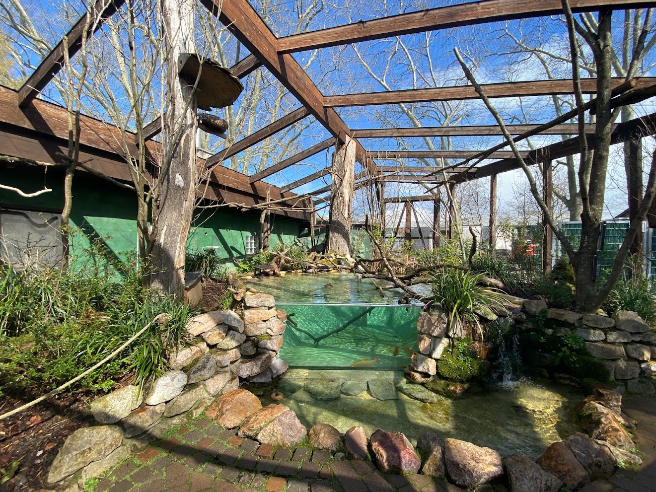 Zoo Heidelberg- South American aviary- 2023