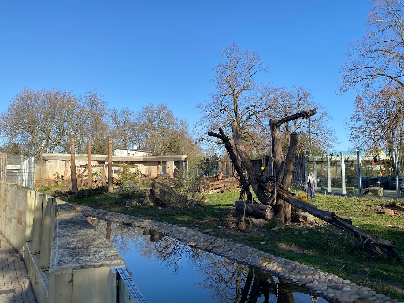 Zoo Heidelberg- Syrian brown bear enclosure- 2023