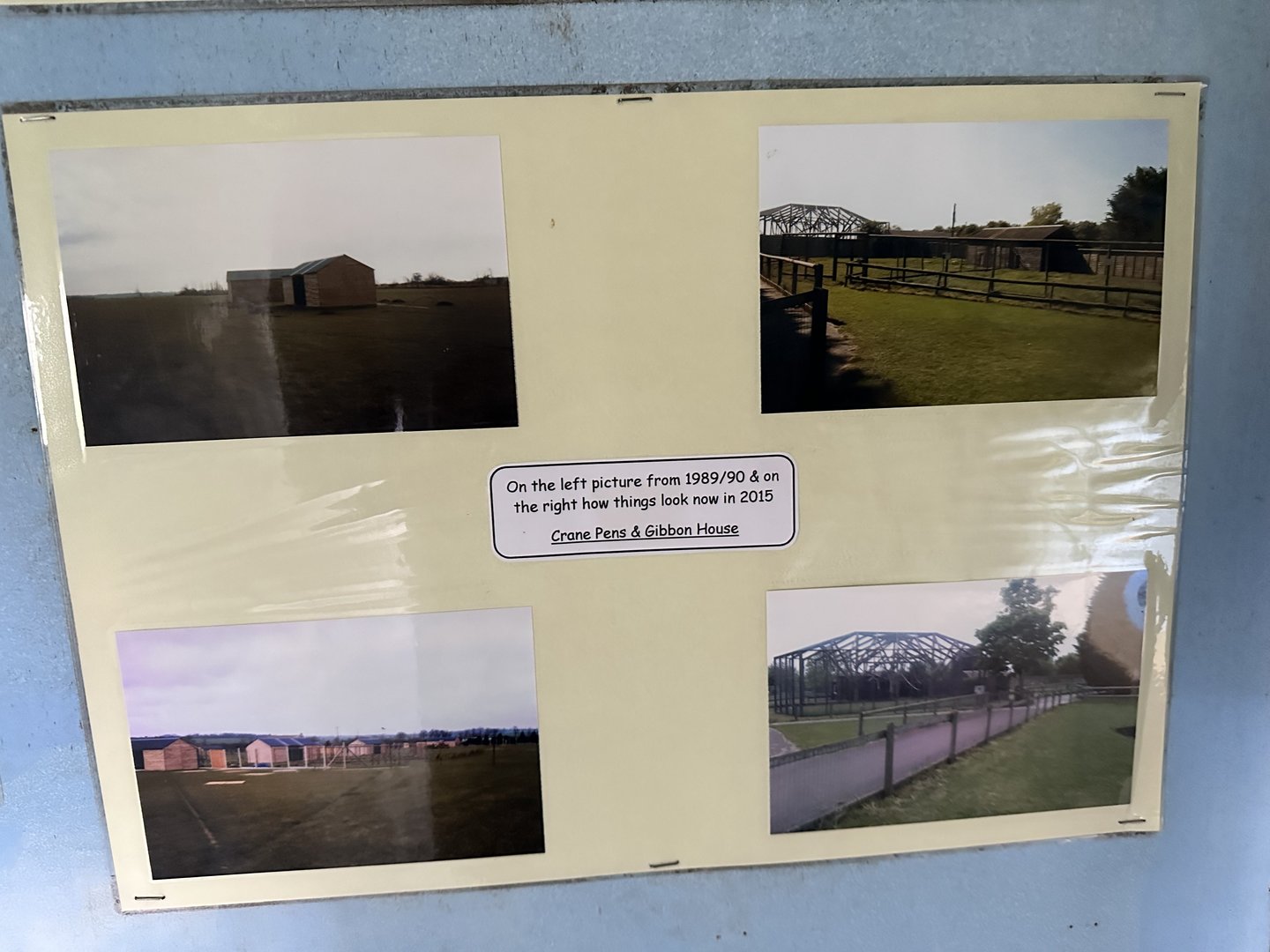 Zoo History - Crane Pens & Gibbon House (1989-2015) at Hamerton Zoo Park (October 2023)