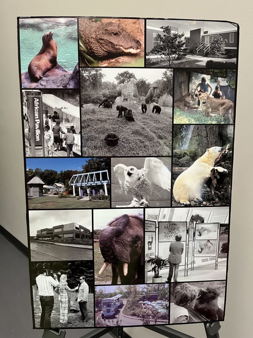 Zoo History display in Stedman Building (1/3)