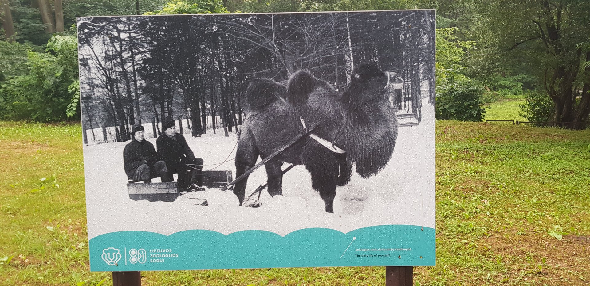 Zoo History photo display June 2019