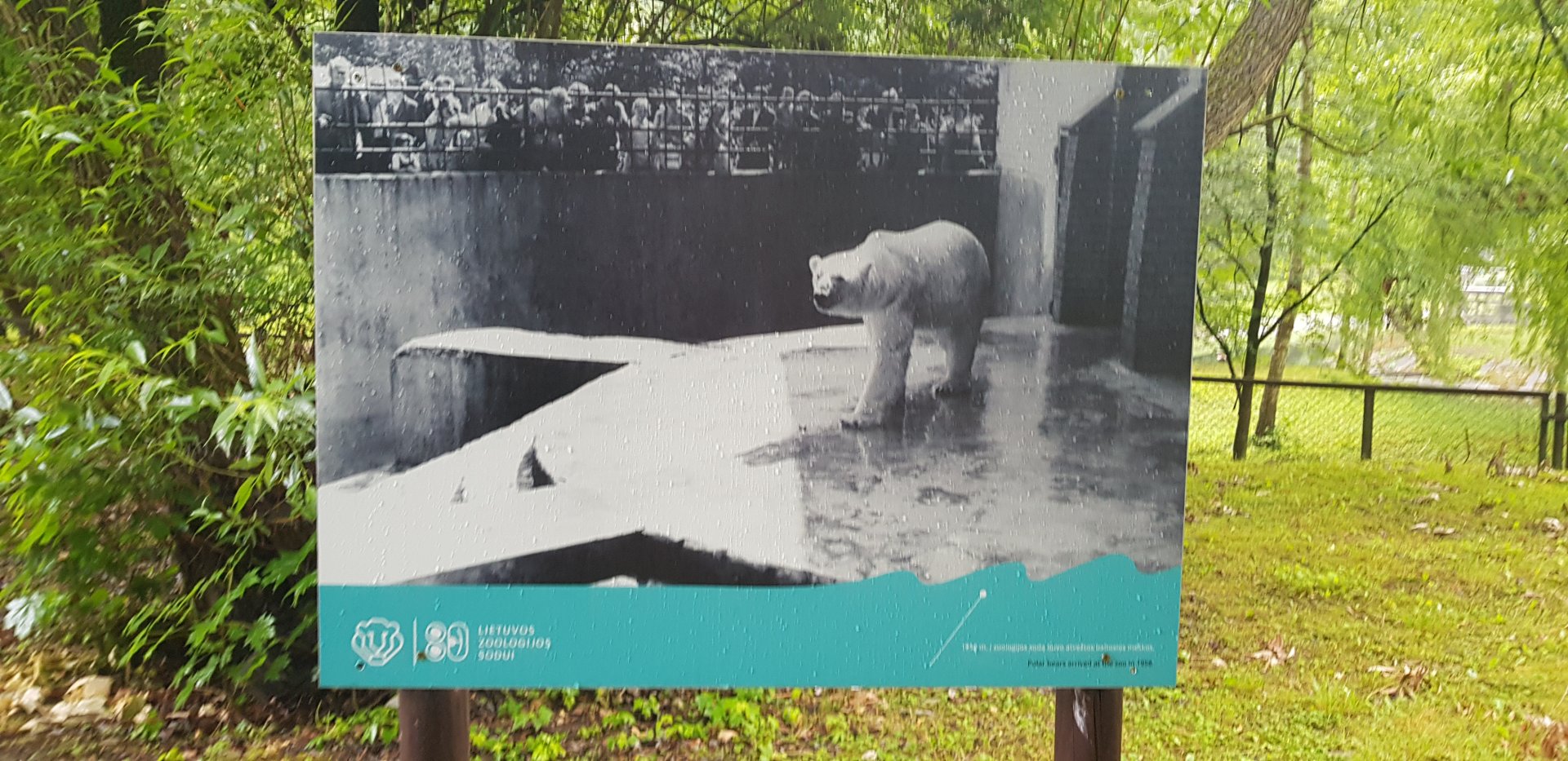 Zoo History photo display June 2019