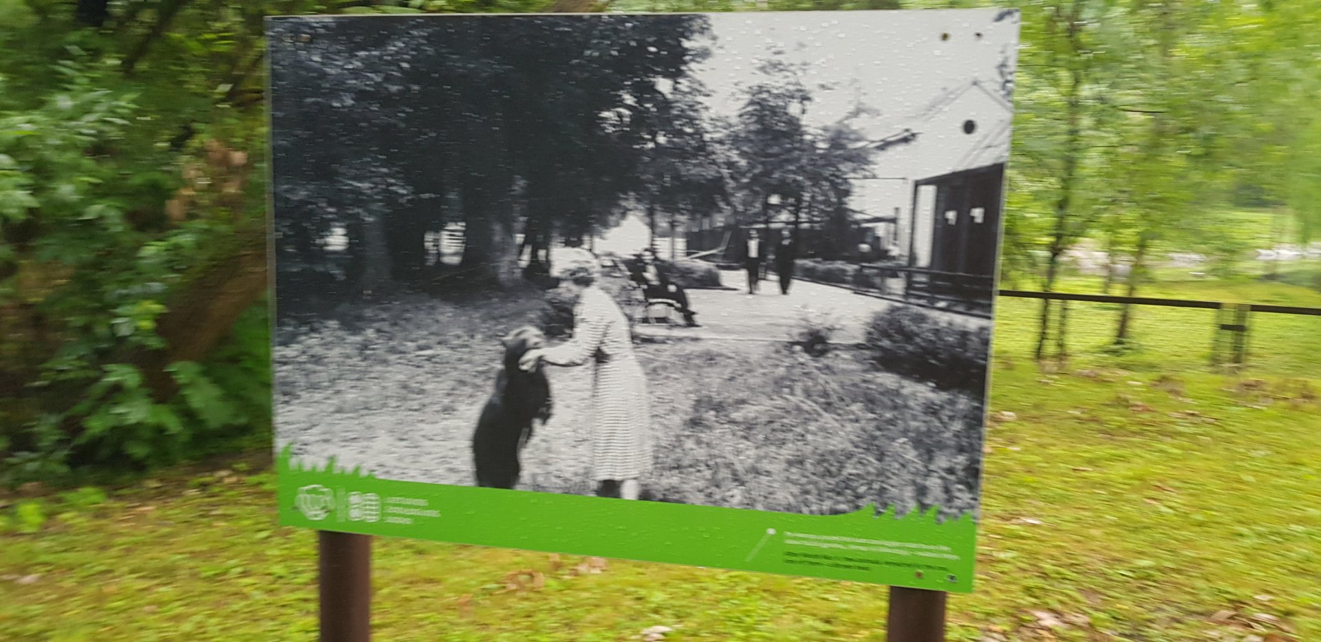 Zoo History photo display June 2019