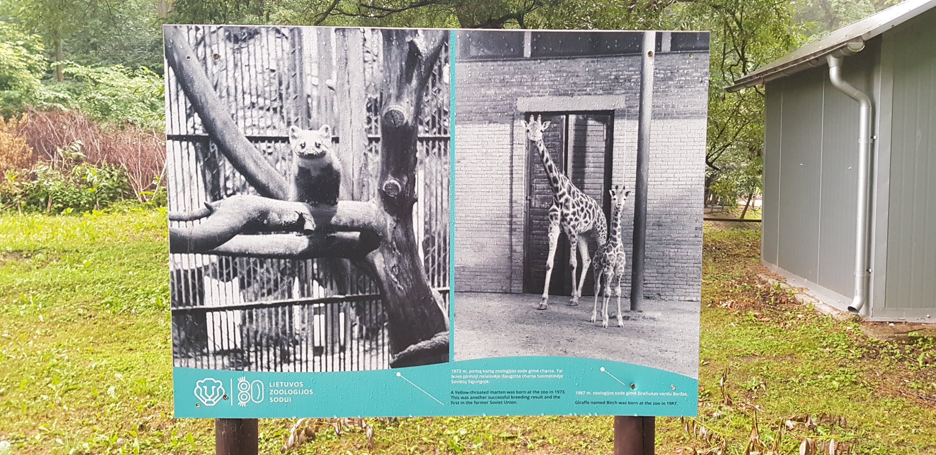 Zoo History photo display June 2019