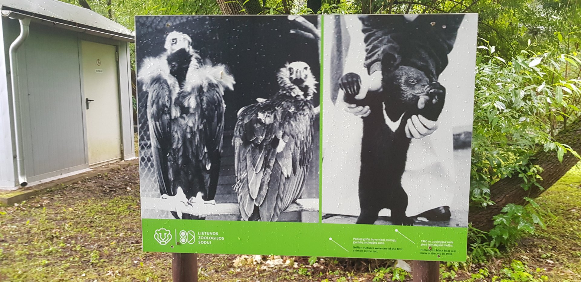 Zoo History photo display June 2019