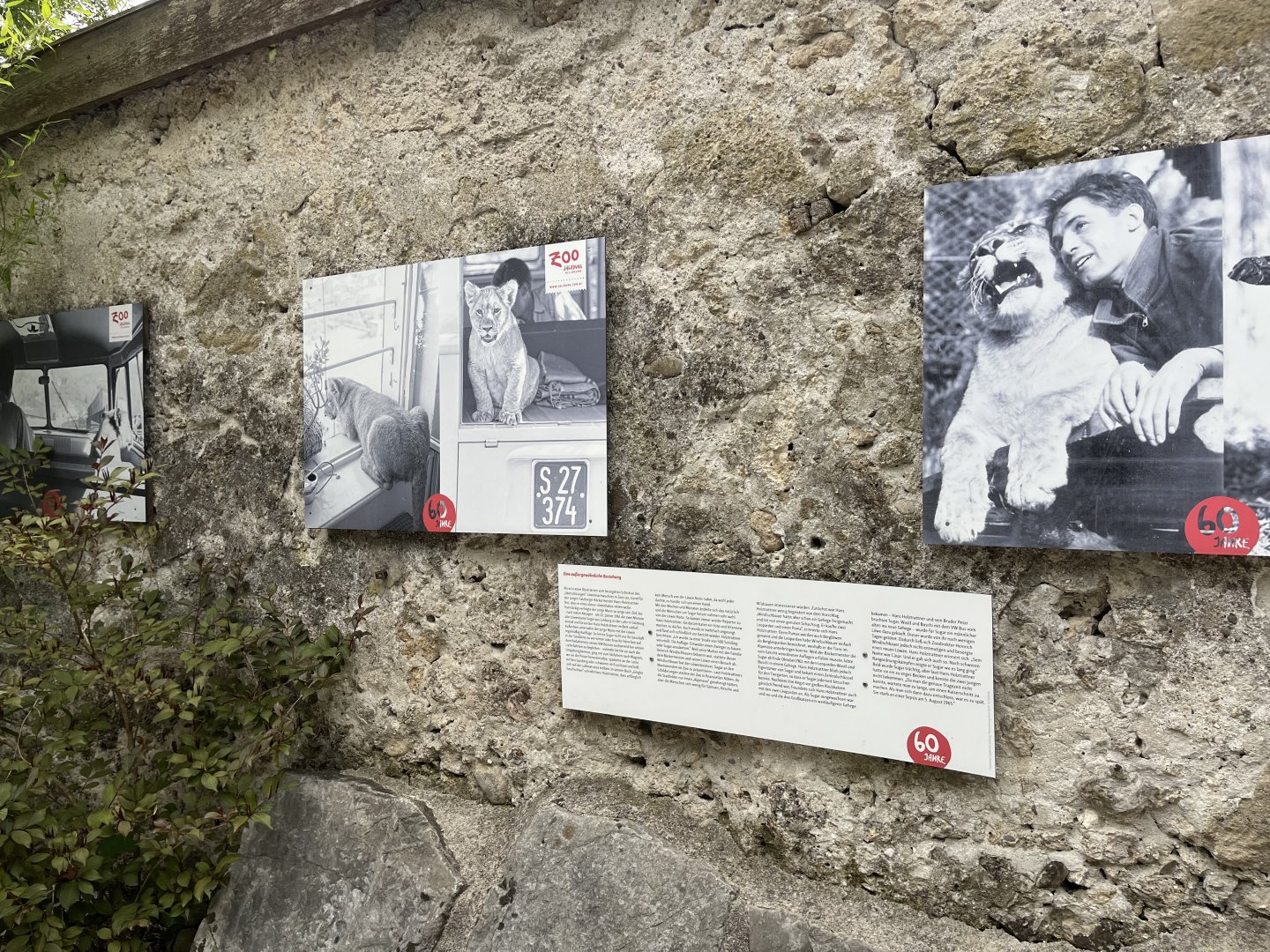 Zoo history signage 13.7.25