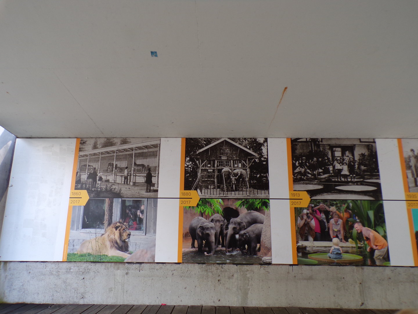 Zoo history timeline 13.7.23