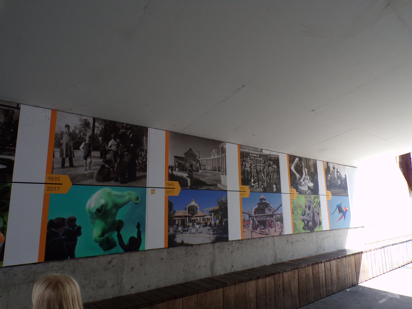 Zoo history timeline 13.7.23