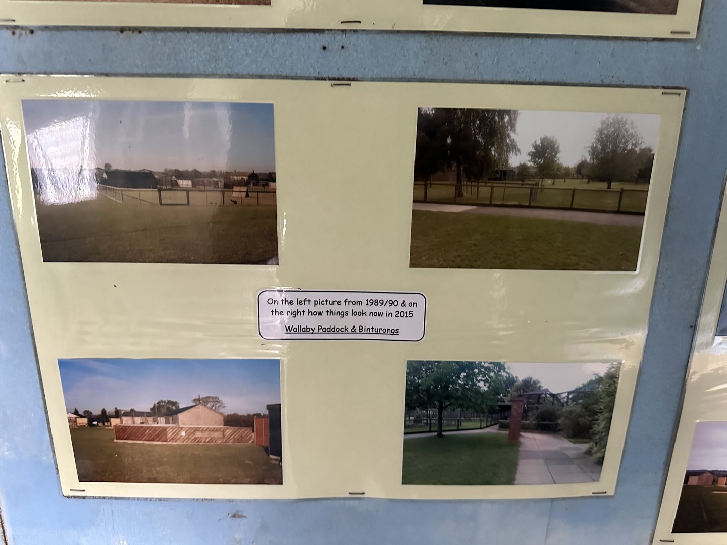 Zoo History - Wallaby & Binturong Enclosures (1989-2015) at Hamerton Zoo Park (October 2023)