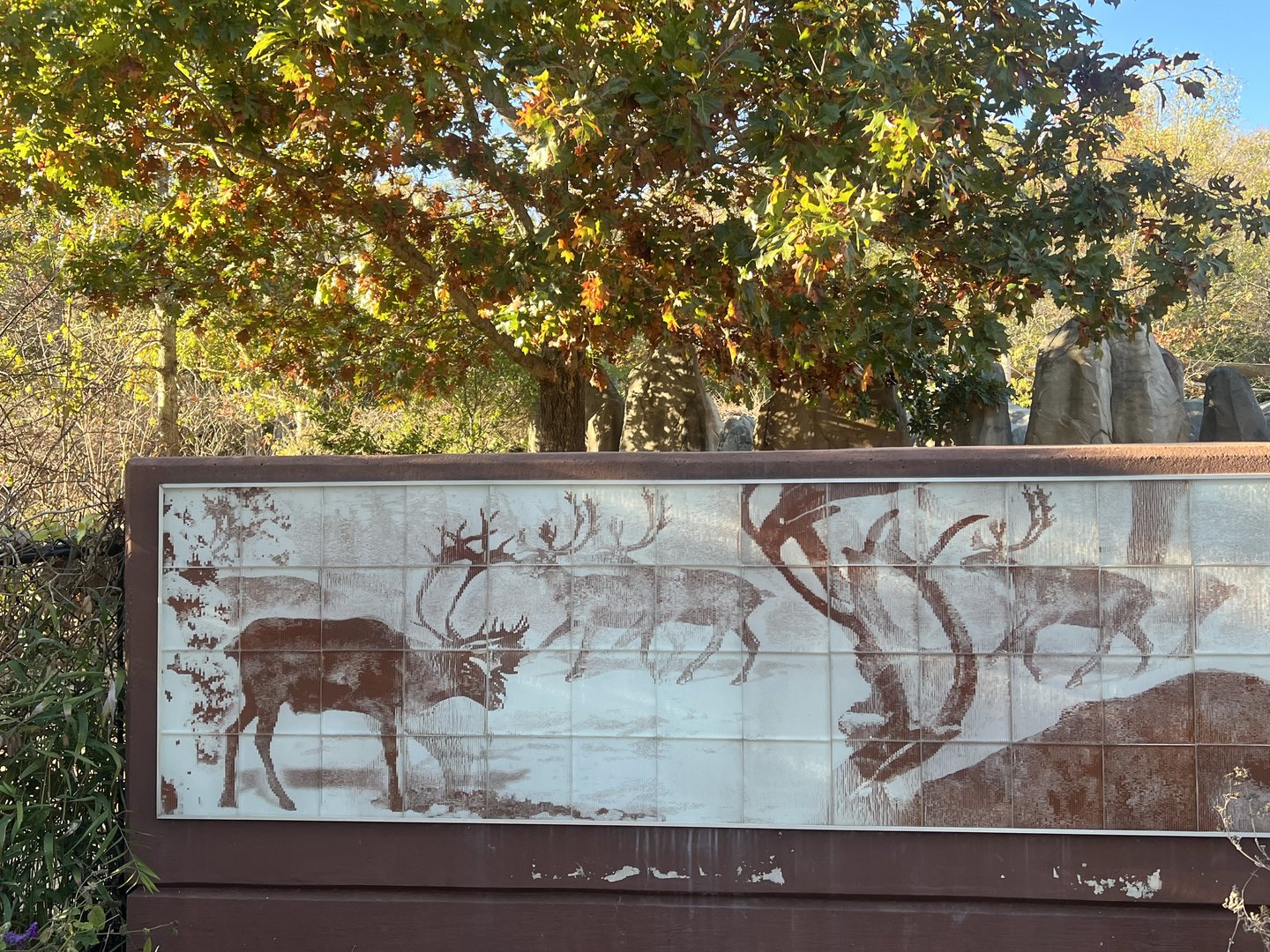 Zoo Holographic Art