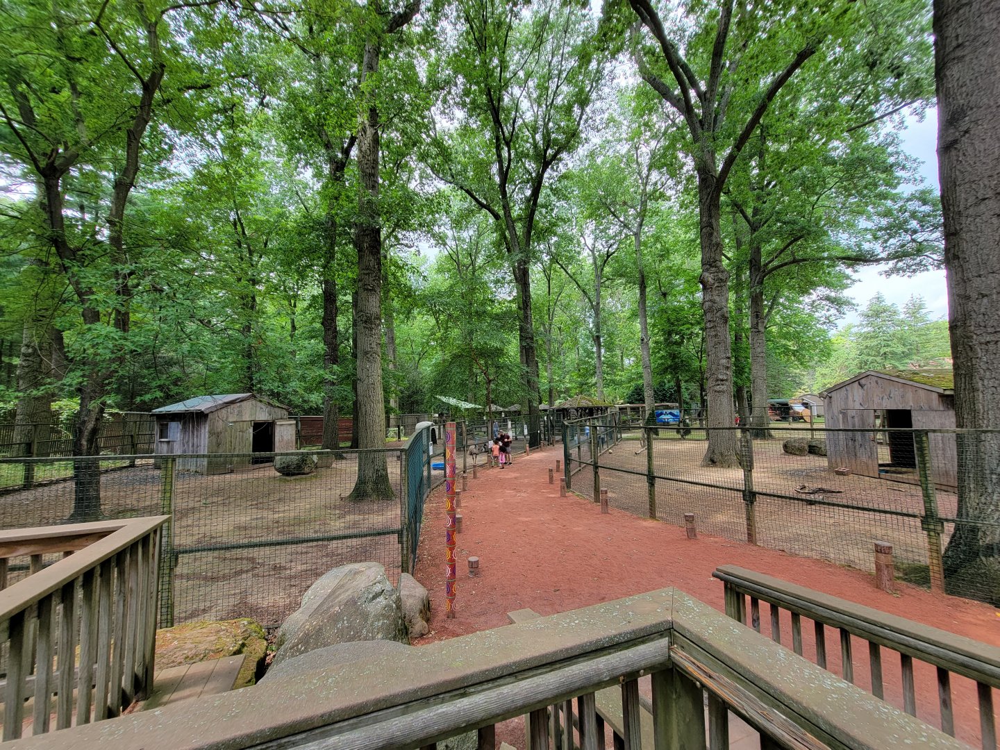 Zoo in Forest Park - Australia