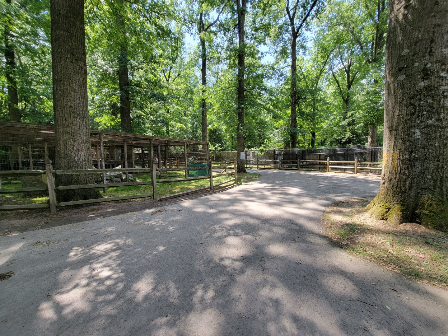 Zoo in Forest Park - Backyard area