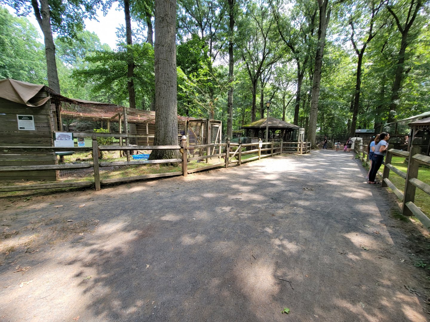 Zoo in Forest Park - Backyard area