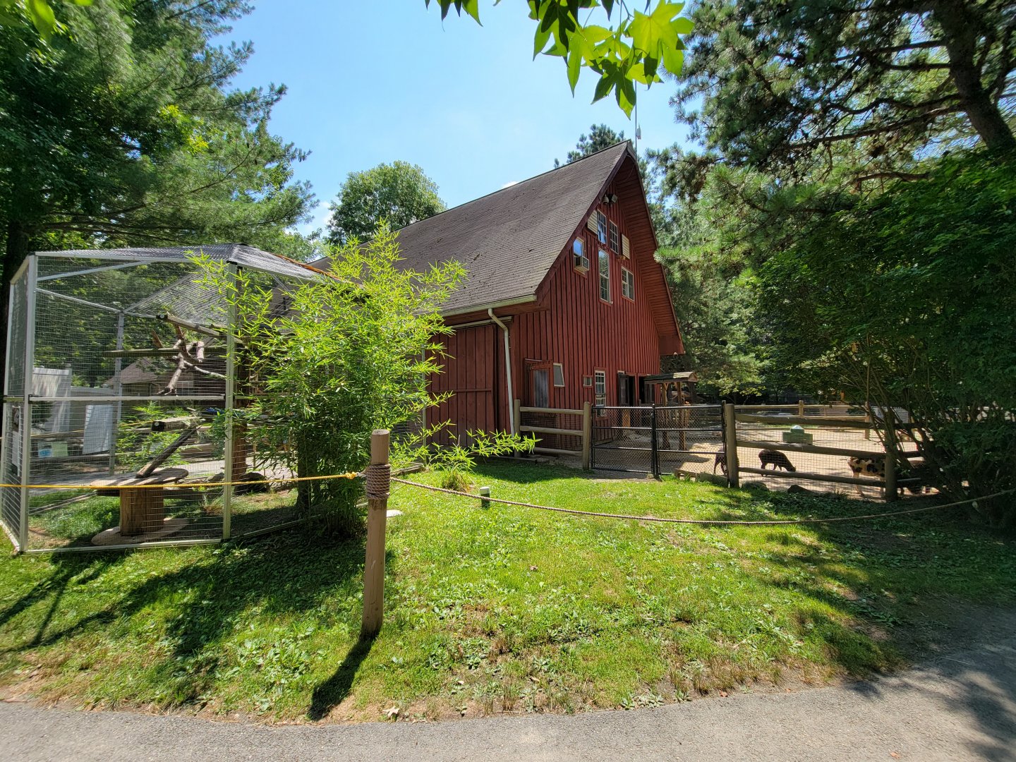 Zoo in Forest Park - Barn, iguanas on left