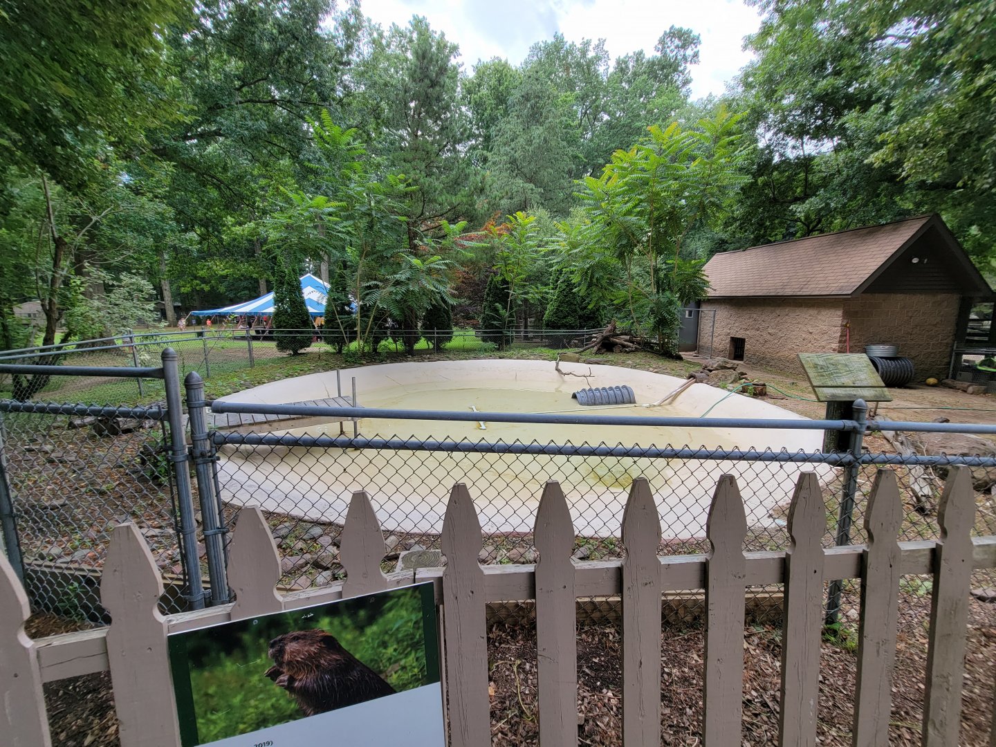 Zoo in Forest Park - Beaver