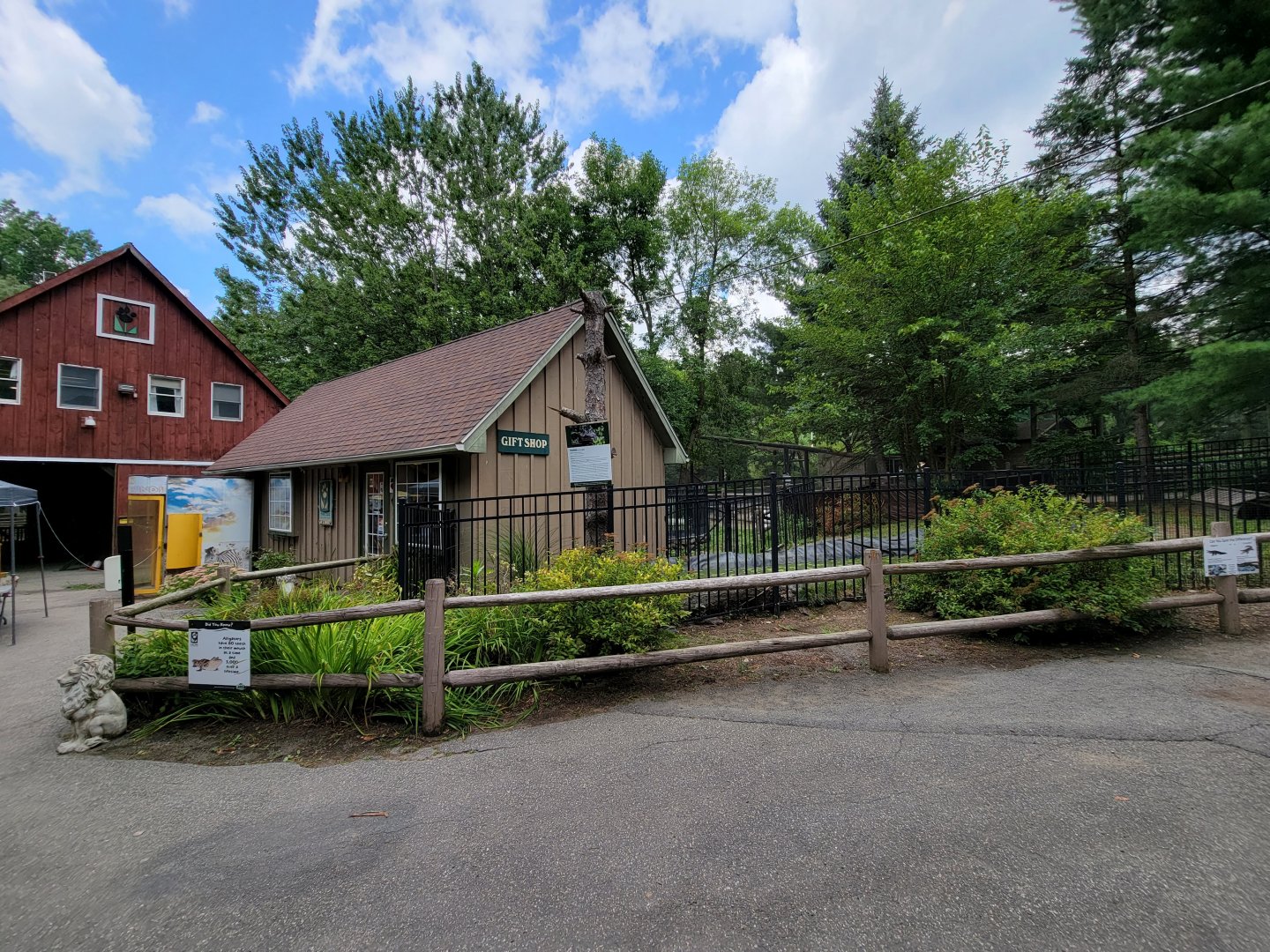Zoo in Forest Park - Gift shop (closed), American alligator