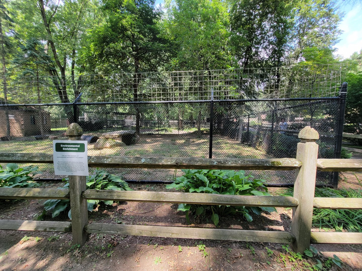 Zoo in Forest Park - Gray wolves
