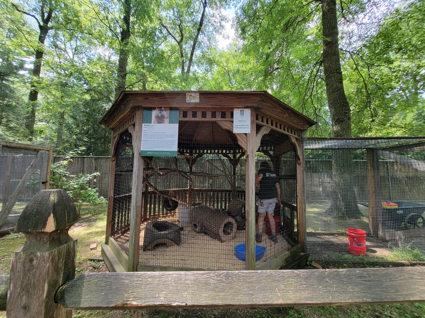 Zoo in Forest Park - Groundhog