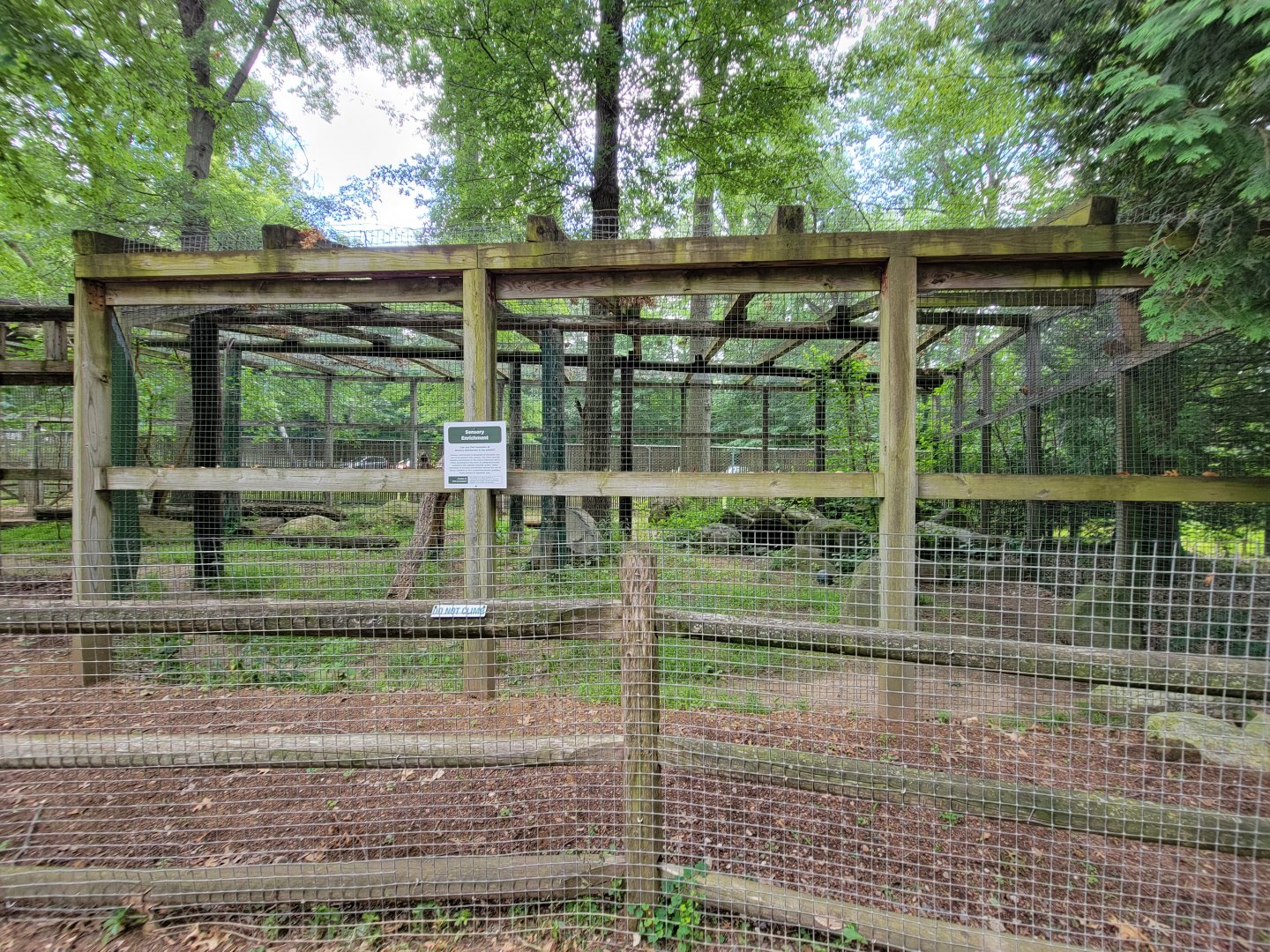 Zoo in Forest Park - Leopard