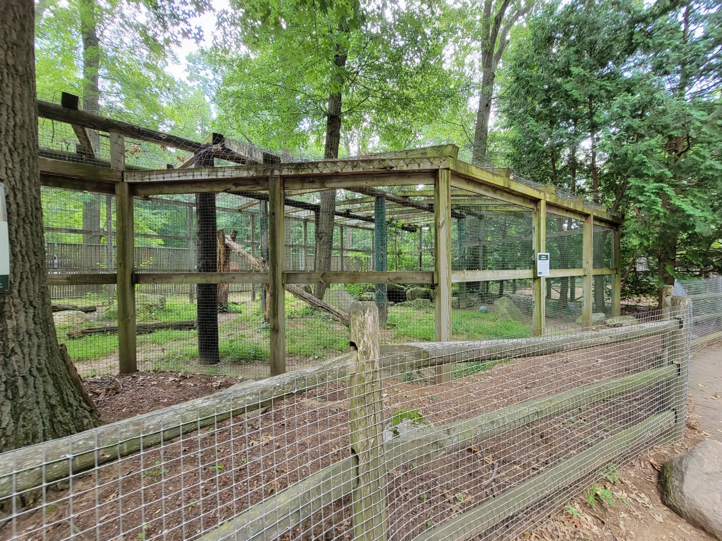 Zoo in Forest Park - Leopard